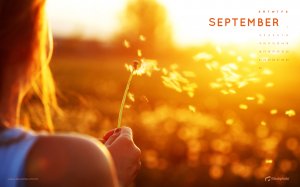 ПОИСК СЧАСТЬЯ