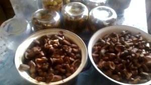 Рецепт консервации грибов