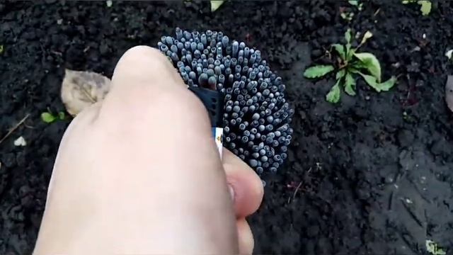 💥ЧТО БУДЕТ , ЕСЛИ ПОДЖЕЧЬ 500 БЕНГАЛЬСКИХ ОГНЕЙ💥 смотреть онлайн