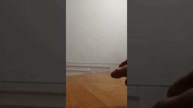 Шаблон для петель бабочек смотреть онлайн