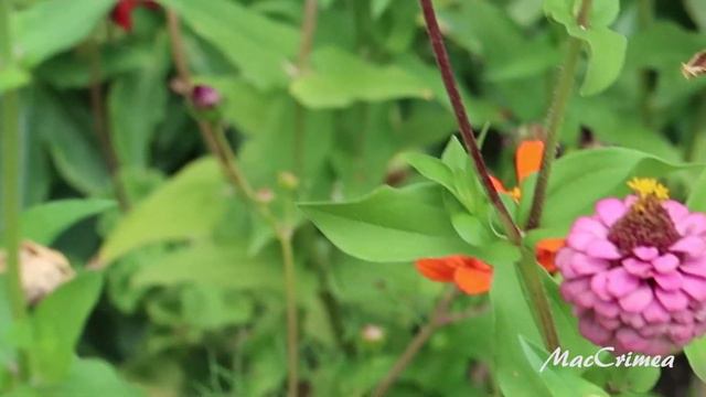 Обзор дома творчества "Актёр"