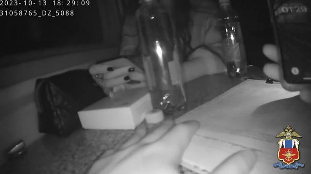 Хабаровские транспортные полицейские сняли с поезда буйную пассажирку смотреть онлайн