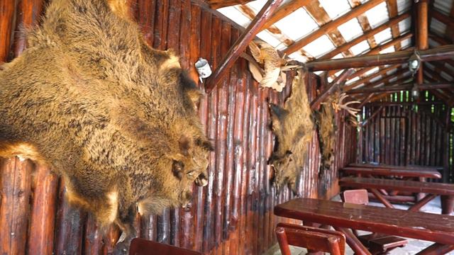 Hotel si restaurant Predeal - Cazare la munte - Restaurant evenimente - Hotel Rozmarin Predeal смотреть онлайн