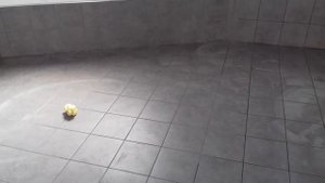 Почему затирка не одного цвета