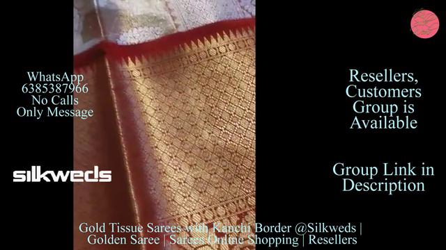 Gold Tissue Sarees with Kanchi Border @Silkweds | Golden Saree | Sarees Online Shopping | Resellers