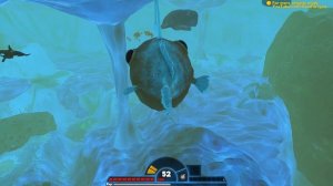 ГИГАНТСКИЙ УДИЛЬЩИК СЪЕЛ МЕГАЛОДОНА | Feed and Grow Fish