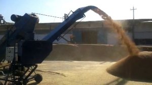 Зернометатель ЗМ-90 в работе,производитель "Техкон-сервис 2030"