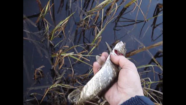 Весна 2010 речки. смотреть онлайн