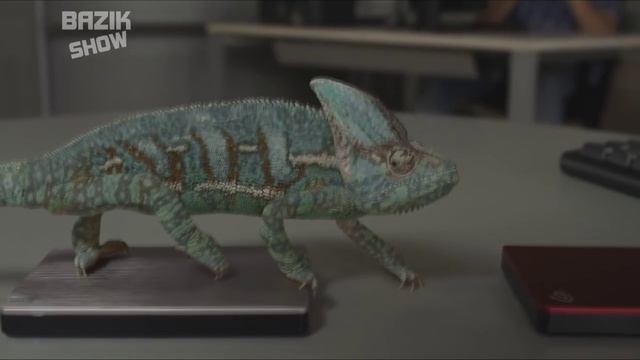 Хамелеон меняет цвет по цвету телефона | HD смотреть онлайн