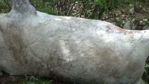 Смотри, куда стреляешь.