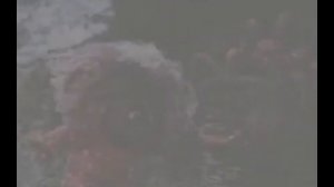 Презентация к уроку истории по теме "Верования восточных славян"