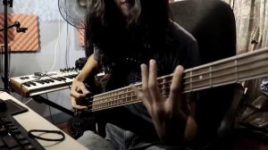 SlipKnot - People = Shit (bass cover)