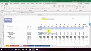 How to model revenues of consumer good business in Excel - SMCG