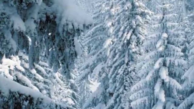 Обзор канала ЗАИМКА НА УРАЛЕ?.И опять ,сравниваем? смотреть онлайн