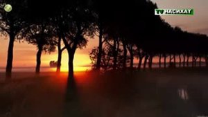 Пророк Мухаммад и Ангел Джабраиль !