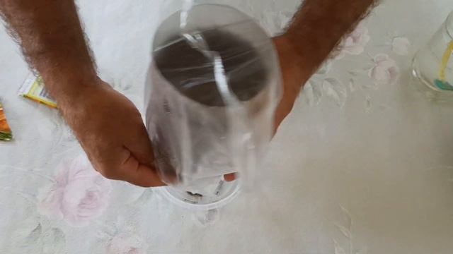 Как вырастить розмарин на подоконнике из семян