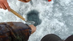 Крупный лещ | Зимняя рыбалка | Белоярское водохранилище | Ангар