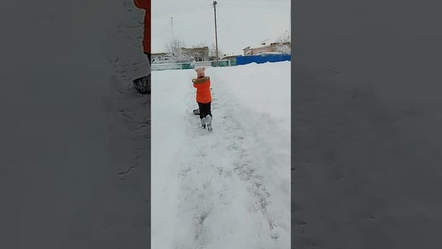 Погода. х.Марьевка. Комиссаров Эдуард Михайлович. Ростовская область.