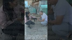 собака укусила девочку в Атырау