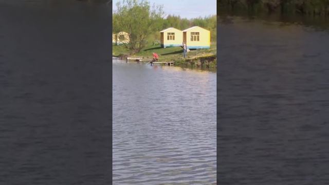 рыбалка рыбалка в подмосковье карп ловля карпа суперкарп белеутово karp fishing