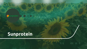 Sunprotein — производство подсолнечного белка для пищевой промышленности