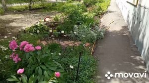 Последний звонок, погода отличная!