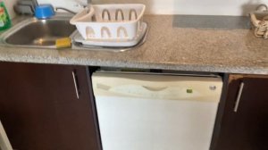 Что будет, если в посудомойку залить обычное моющее средство