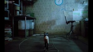 Достижение "Территория". Где царапаться в Stray