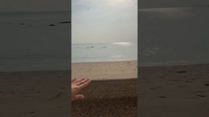 Kempinski Muscat Oman (Оман, Маскат)