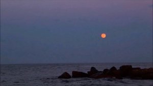 Спаситель желает. Минус Родник хвалы и вдохновенья.mp4