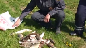 В ДЕЛЬТЕ РЕКИ ИЖ