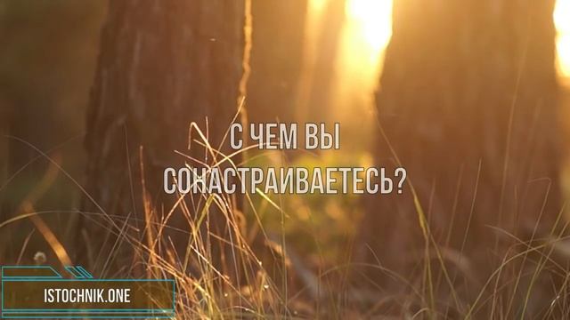 Что, если мое Близнецовое Пламя в браке с кем то еще?