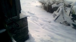 Китайский подогреватель на УАЗ Патриот