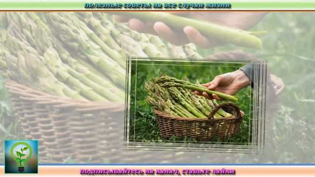 Список ПРОДУКТОВ которые вы ЕДИТЕ НЕПРАВИЛЬНО Самые полезные советы для ЗДОРОВЬЯ смотреть онлайн