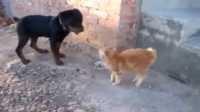 Знакомство. смотреть онлайн