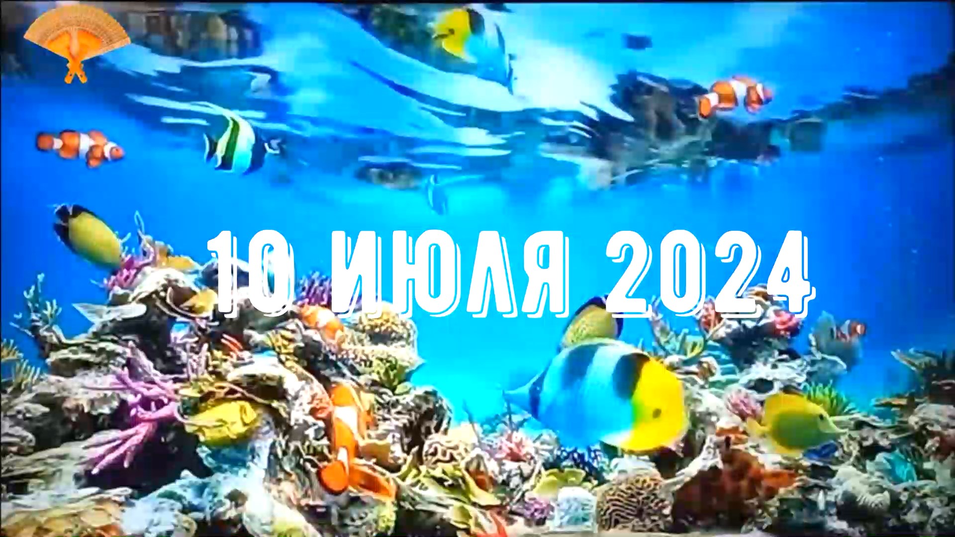 Грабли веерные Для любителей канала Грабли Live  10 07 2024