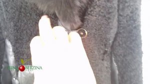 Реставрация мехового изделия. Что сделать со старой каракулевой шубой.