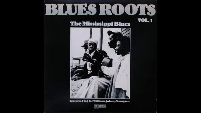 Blues Roots Vol. 1 - The Mississippi Blues