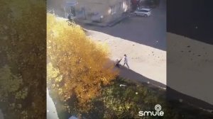 Дорогая отпусти меня (фильм перекрёсток)