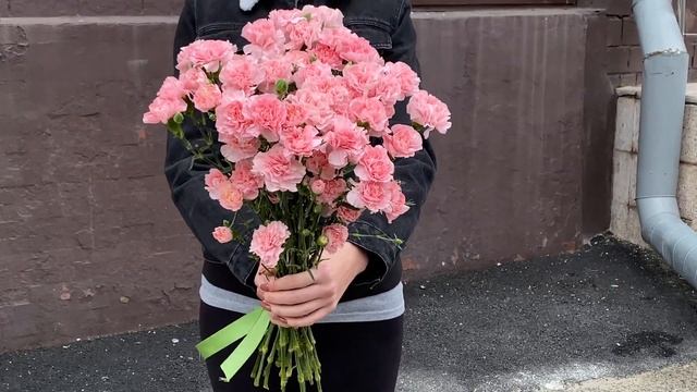 Кустовая нежно-розовая гвоздика смотреть онлайн