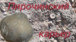 Пирочинский карьер. Кто такие брахиоподы. Каменноугольное море.