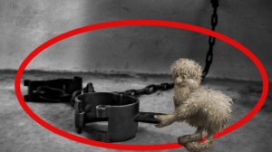 "Кандалы". Мистика/Аудио рассказ.