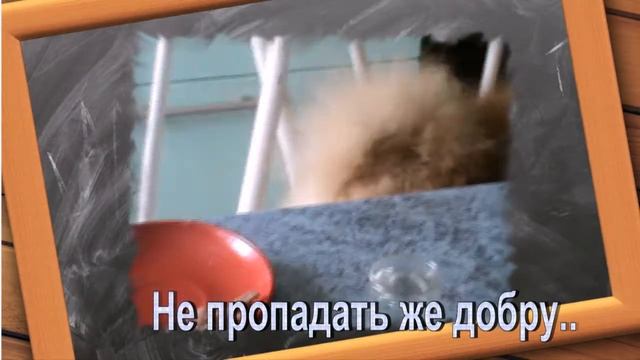 Топ,Леся и Буся смотреть онлайн