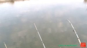 Рыбалка с лодки на сазана! Рыбалка состоялась!