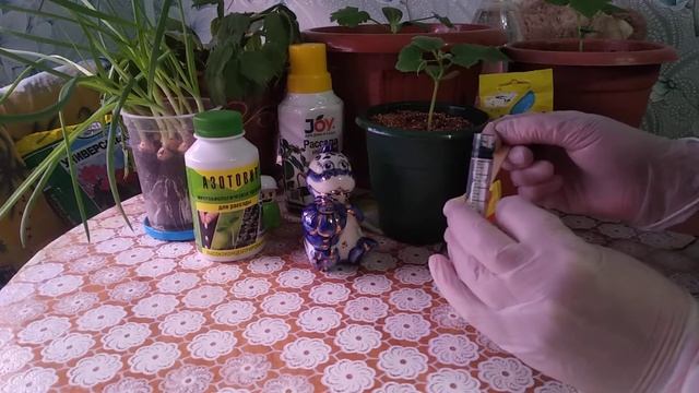 Как отмерить без весов точную мерку для фунгицида-порошка.. Всё легко и просто! смотреть онлайн