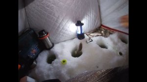 Ловля Крупного КАРАСЯ Зимой со льда! Ночная рыбалка!