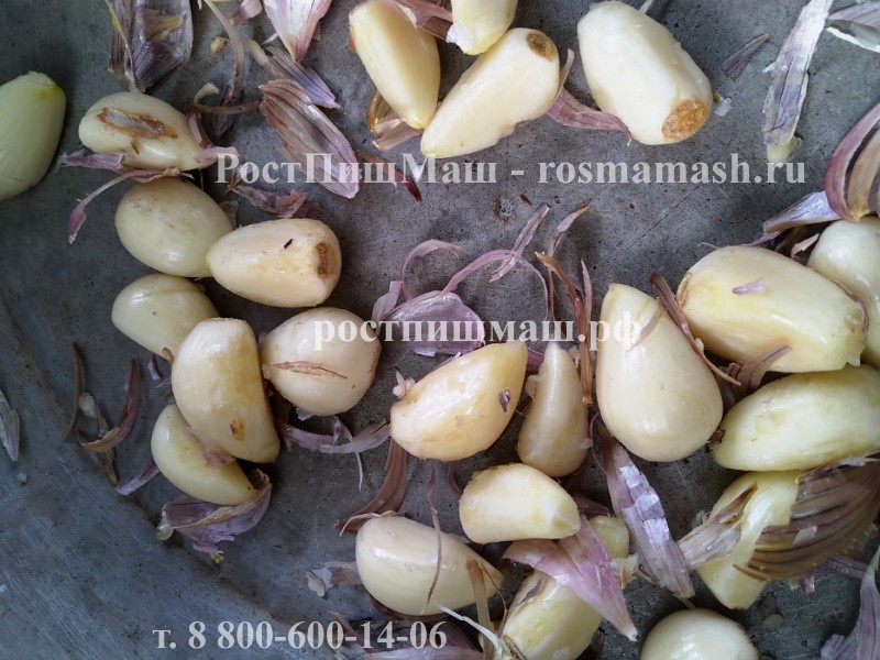 Обзор чистки зубцов чеснока на Машине SL-30 от РостПищМаш смотреть онлайн