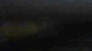 Африканский слон напал на авто и гонится за ним. Шок видео