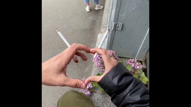 ветер пахнет цветами (кавер/ алена швец) смотреть онлайн