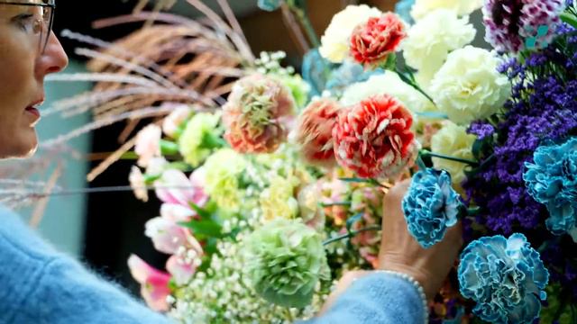 Cut flower introductions 2022- Dianthus смотреть онлайн